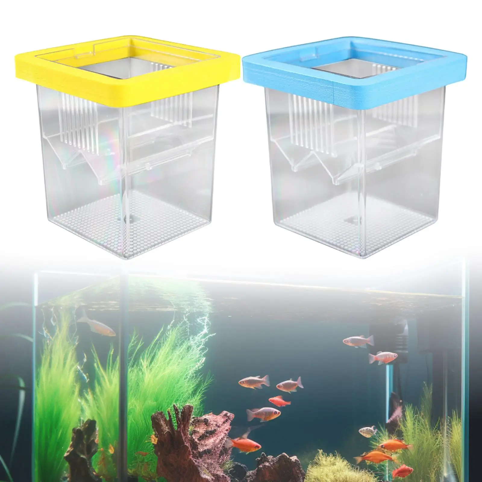 Caja de cría para pecera, caja de cría de peces, mini estuche de aislamiento para freír pescado, tanque de cría flotante, caja para incubar, - imagen 2