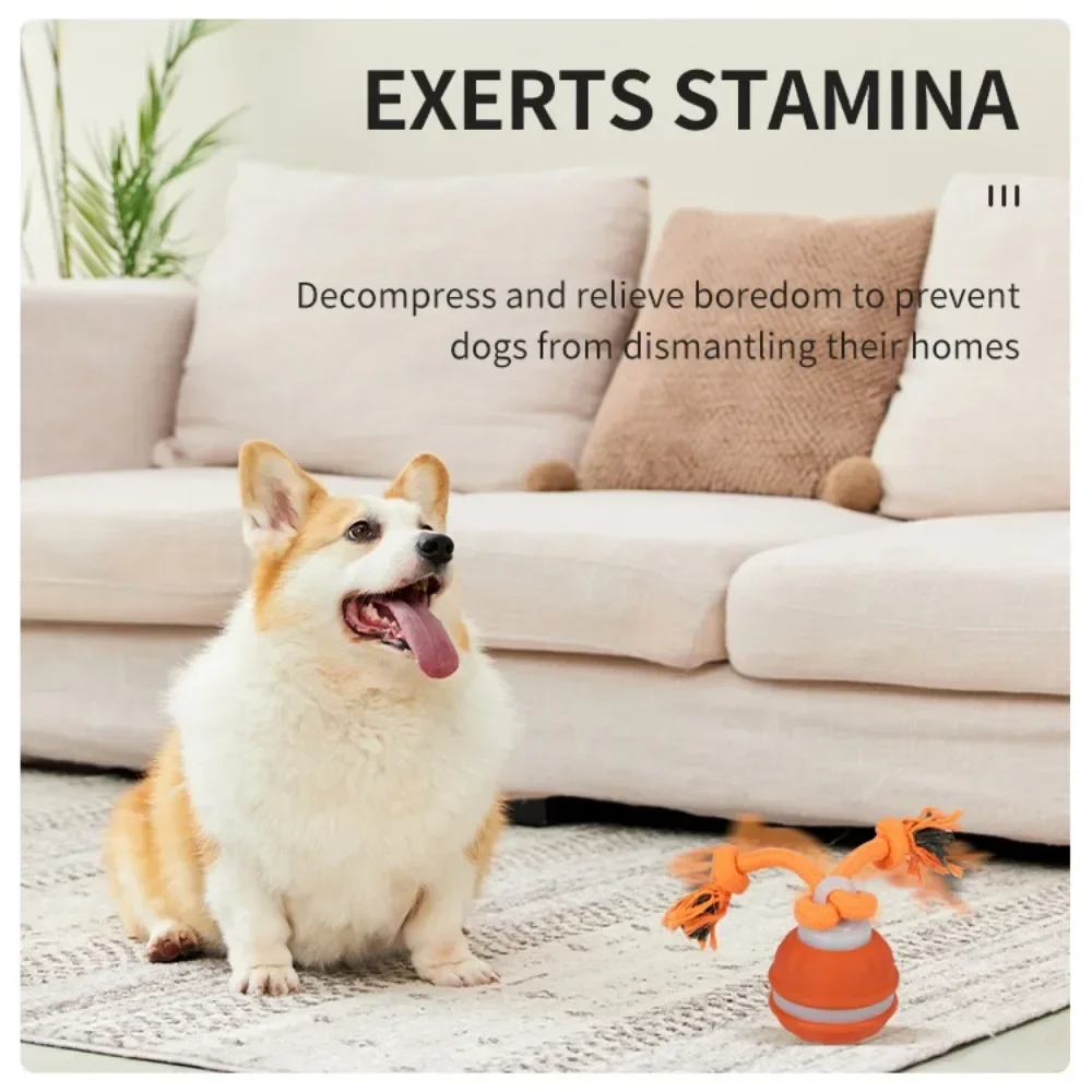 Pelota interactiva con movimiento para perros, recargable USB - imagen 5