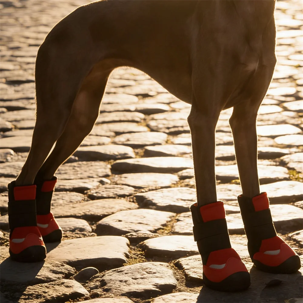 Protección y comodidad para patas de perro