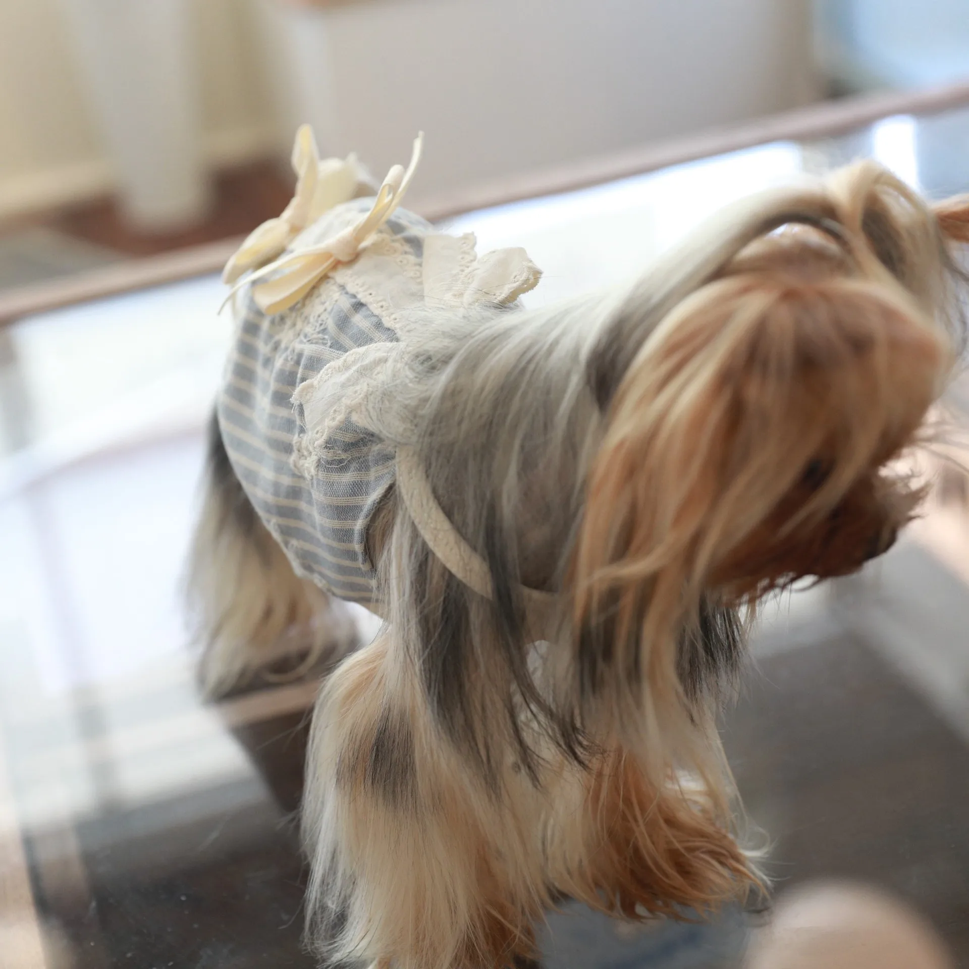 Vestido fino y fresco con tirantes a rayas bordadas para mascotas, vestidos para perros pequeños, ropa para cachorros - imagen 2