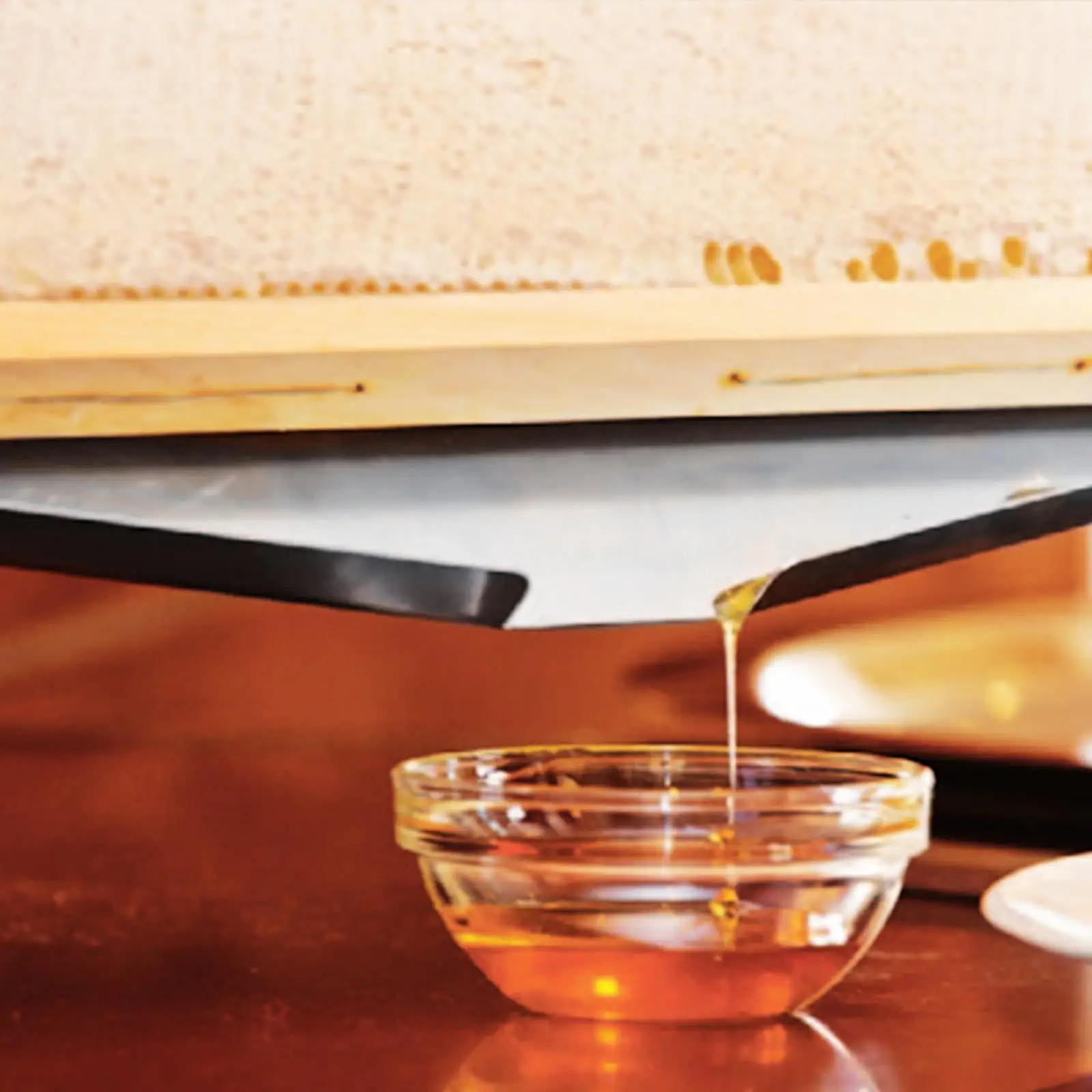 Beehive Frame Holder Stainless Steel Honeycomb Stand Uncapping Drip Rack for Restaurants Bakeries Apiculture Supplies