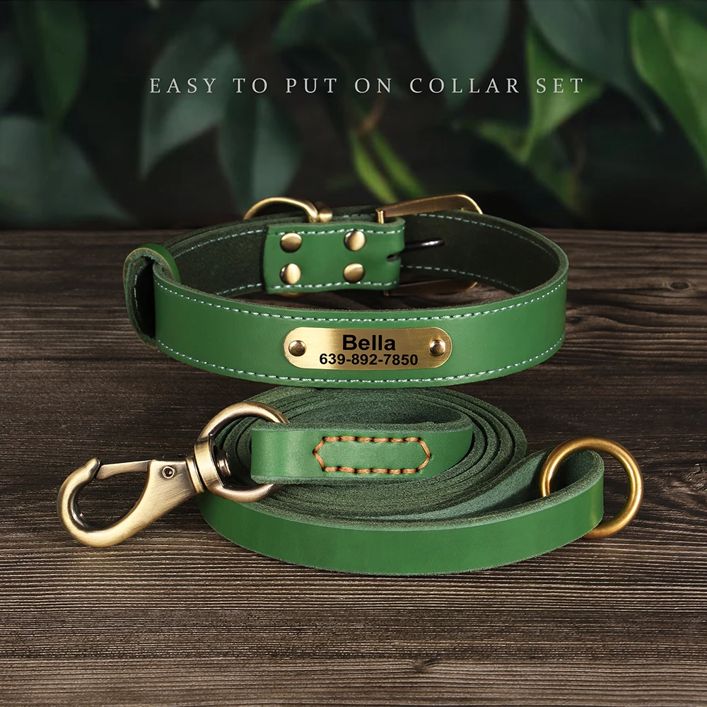 Conjunto collar y correa de cuero para perros medianos y grandes – Bulldog Francés - imagen 5
