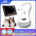 VET Ultrasound Probe