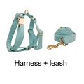 Harness   leash