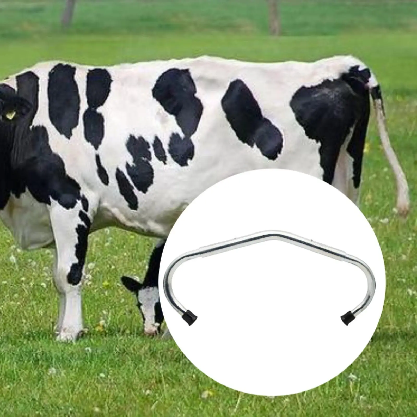 Anti Kick Off Device Tool Sturdy Easy to Use Accessories for Sheep Milking