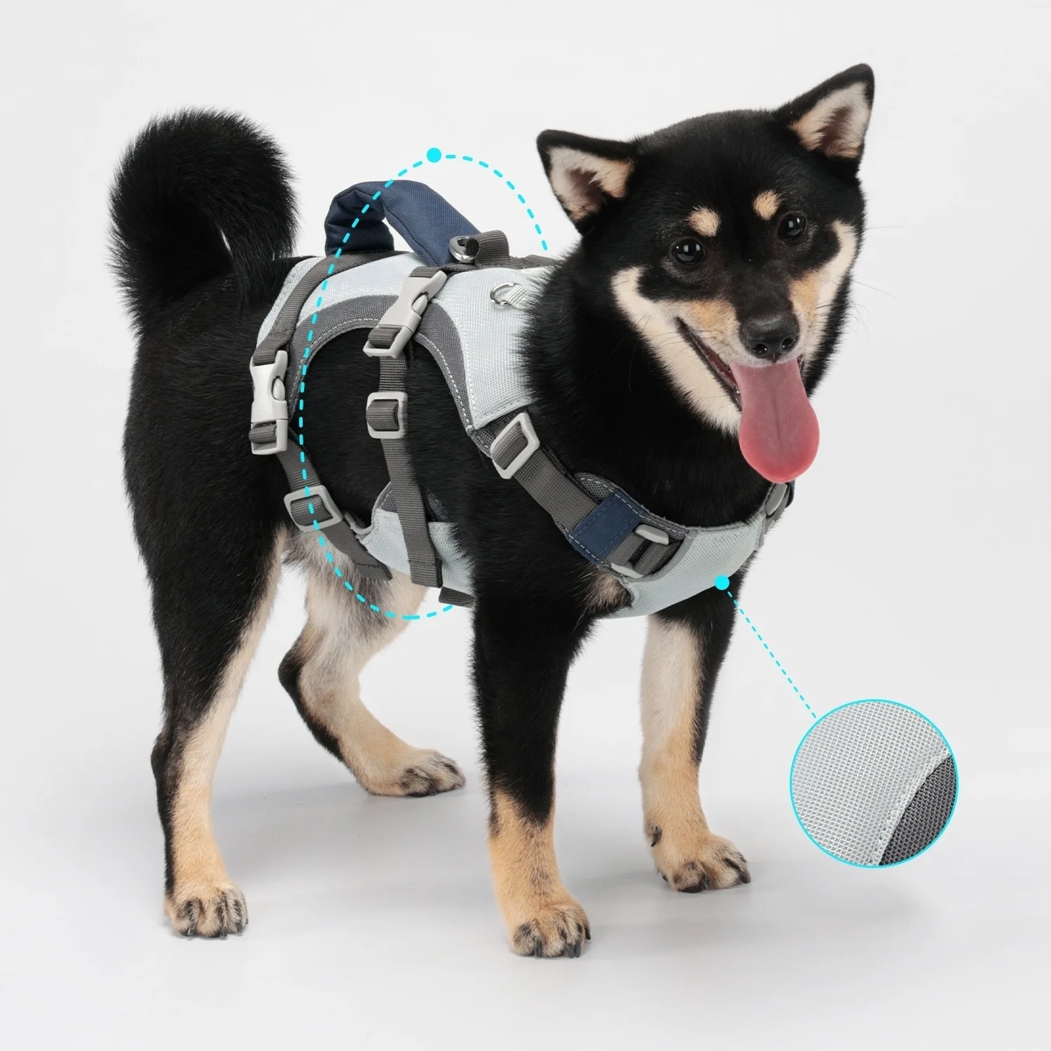 Arnés para perros con juego de correa, chaleco para perros fresco y transpirable con mango acolchado, arnés para caminar sin tirar para perros con correa azul - imagen 4