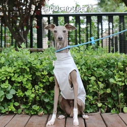 Chaleco protección solar para galgo italiano y Whippet efecto hielo