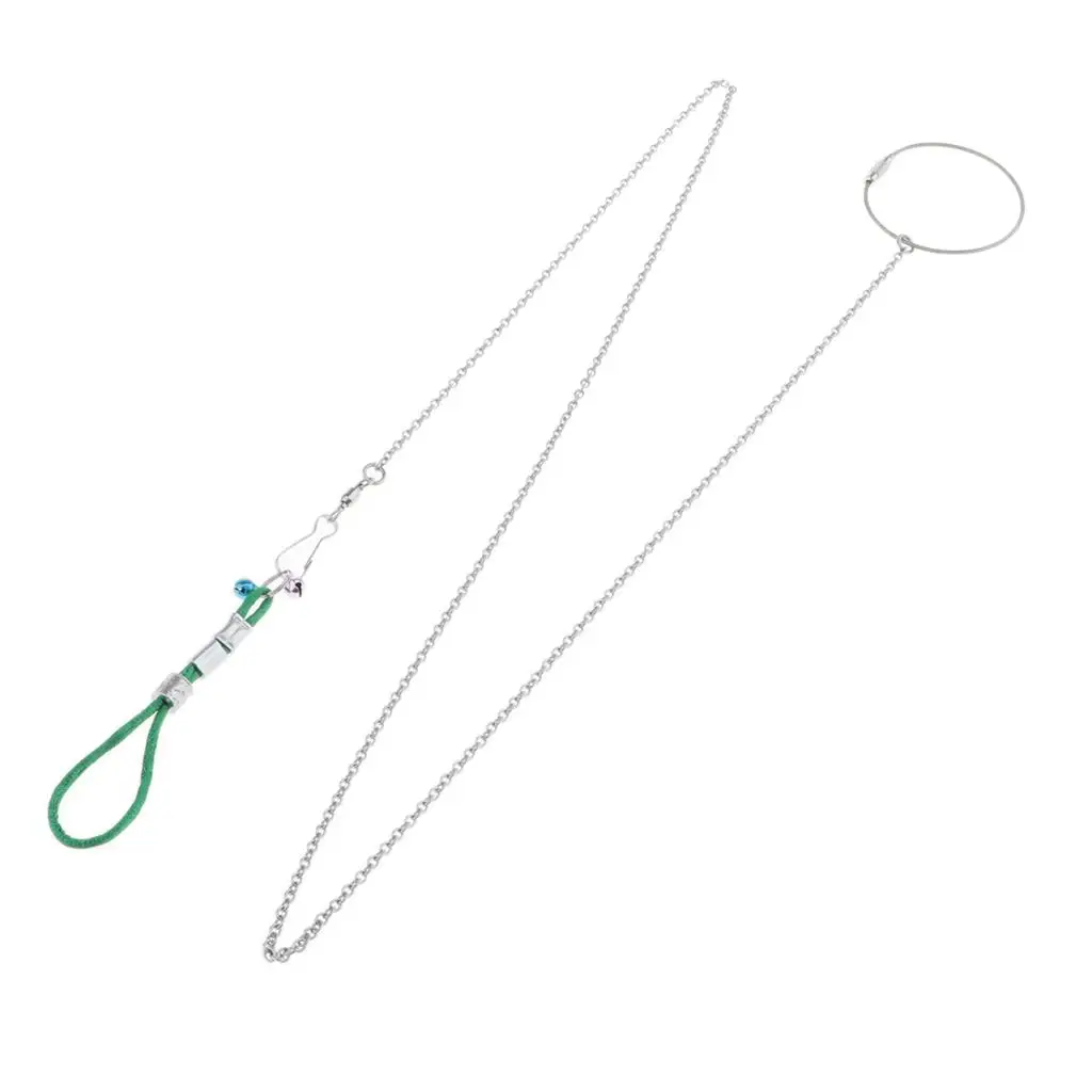 2 Pieces Stainless Steel Bird Supplies Parrot Neck Rope + Foot Chain, Conducive