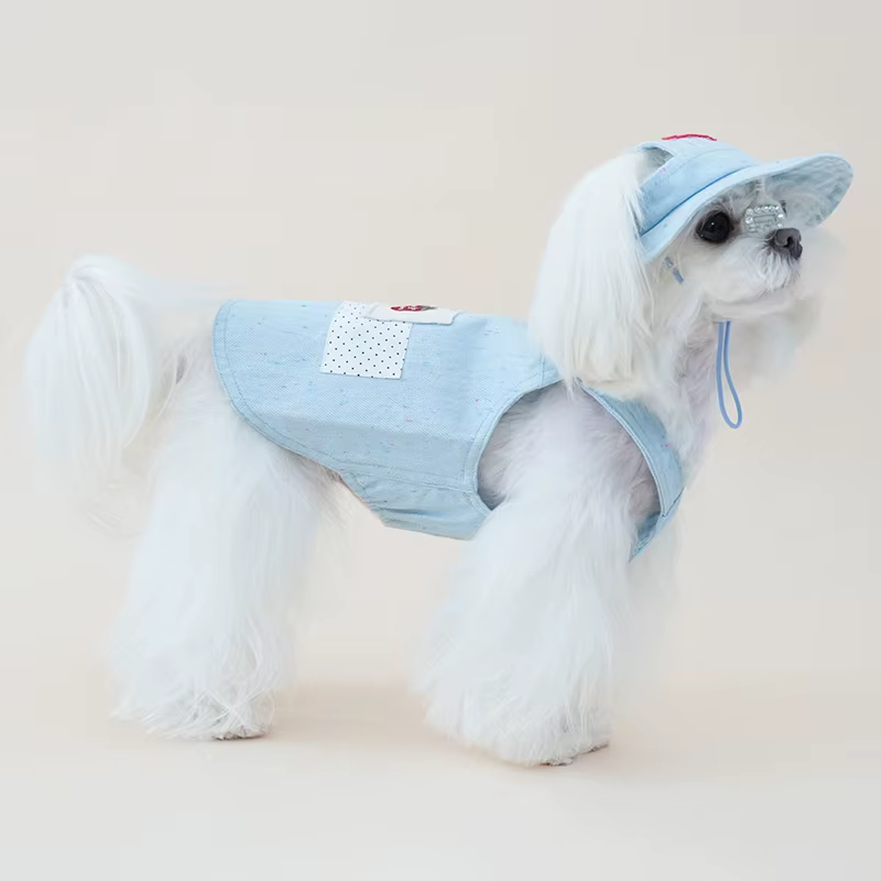 Vestido mezclilla perro pequeño verano con sombrero sol y arnés, gatos
