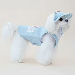 Vestido mezclilla perro pequeño verano con sombrero sol y arnés, gatos