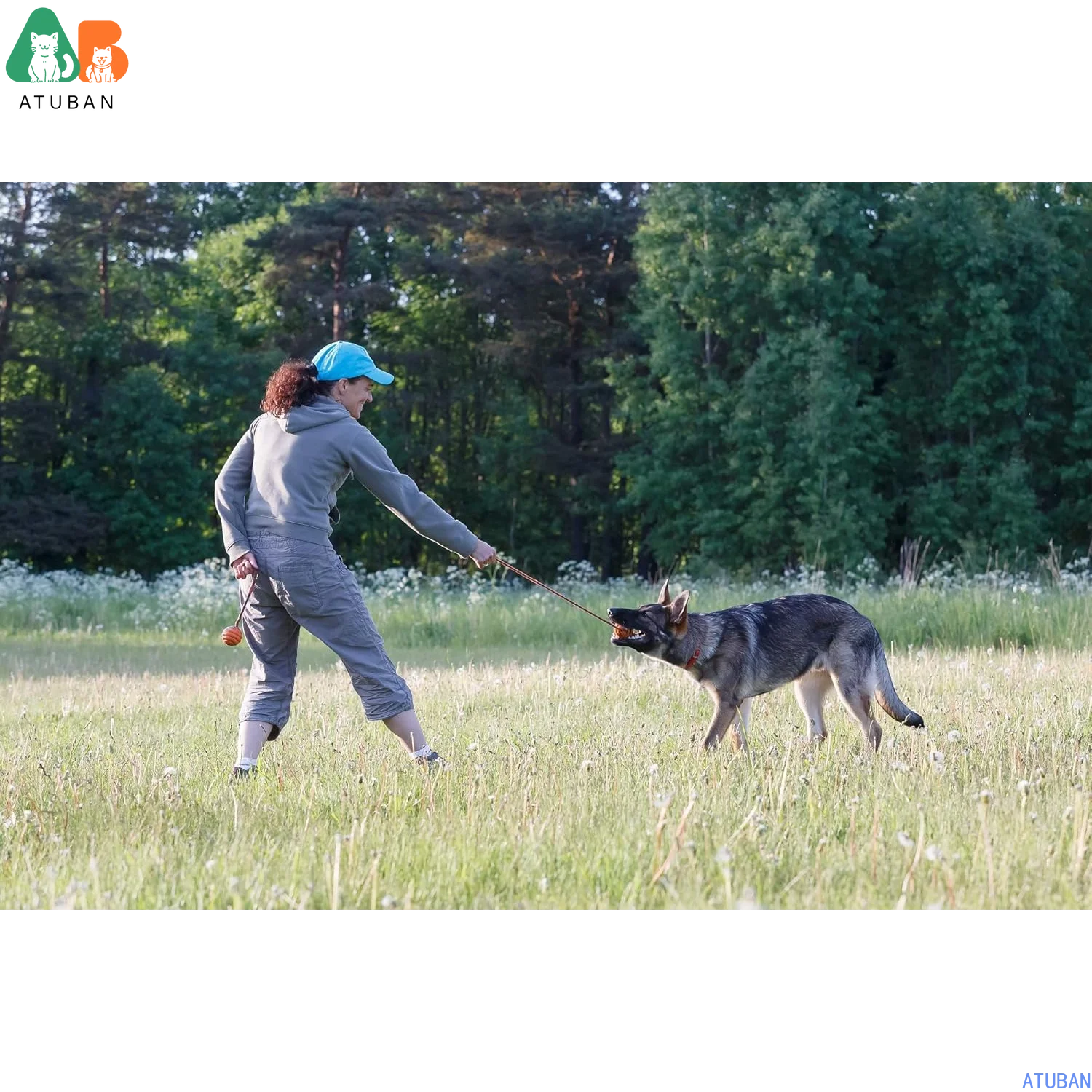 ATUBAN Bola de caucho natural duradera en una cuerda: entrenamiento perfecto para perros, juguete para perros de tamaño mediano para buscar, atrapar, lanzar y remolques de guerra