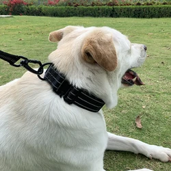 Collar reflectante para perros de alta resistencia, Collar de entrenamiento clásico ajustable, tiras reflectantes de seguridad nocturna para perros medianos y grandes