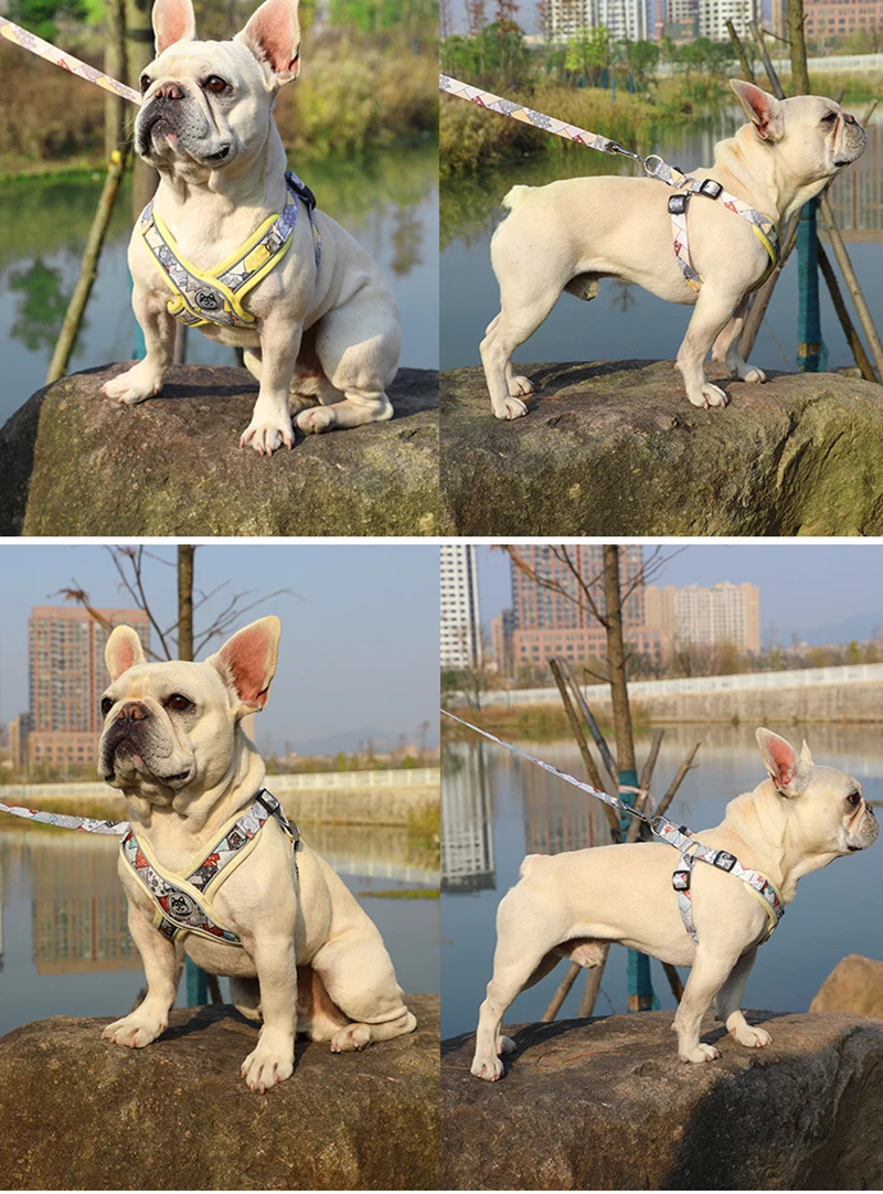 Productos para cachorros, conjunto de arnés y correa en forma de X para perros pequeños, arneses transpirables ajustables para mascotas, correas coleira cachorro - imagen 3