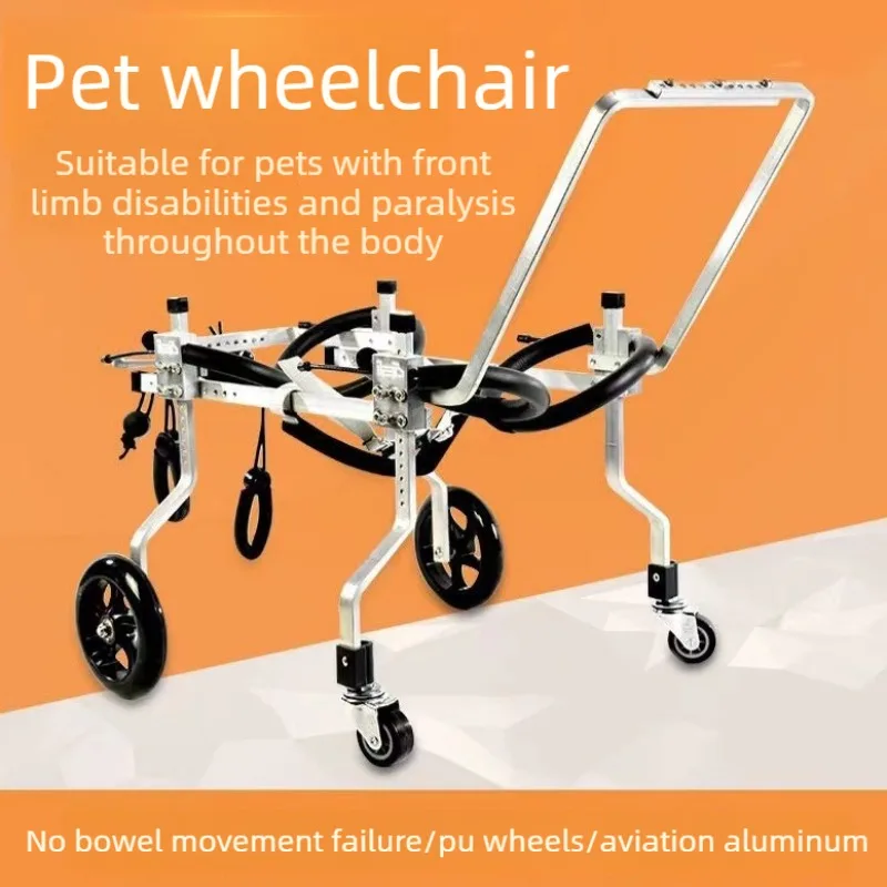 Silla de ruedas para perros paralizados – Rehabilitación y movilidad