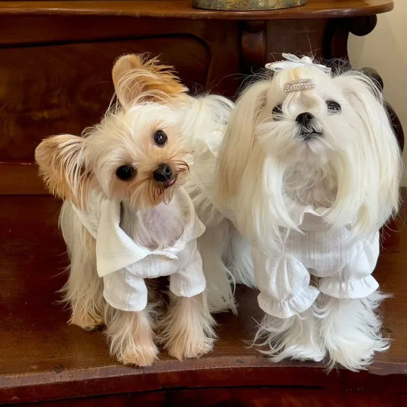 Vestido de princesa para mascotas, camisa de verano, falda de encaje, ropa cómoda para parejas de Yorkshire, vestidos finos para perros pequeños - imagen 2