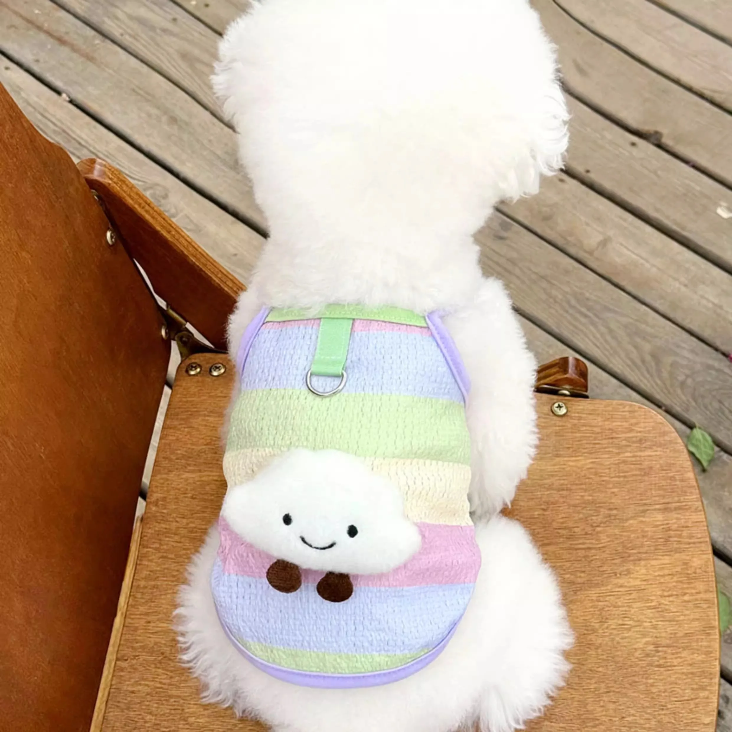 Chaleco de verano para perros, ropa para perros con nubes a rayas de arcoíris, camiseta fina refrescante, tirantes para Chihuahua Bichon, ropa para cachorros, chalecos para gatos - imagen 2