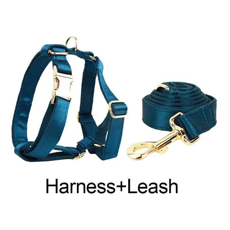 Harness   leash