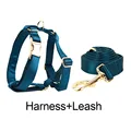 Harness   leash
