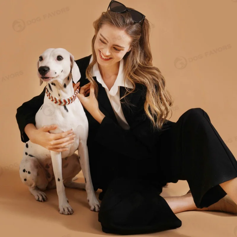 Collar de cuero tejido a mano para mascotas, conjunto de correa, Collar de perro tejido a rayas multicolor, collares trenzados suaves y ajustables para perros - imagen 5