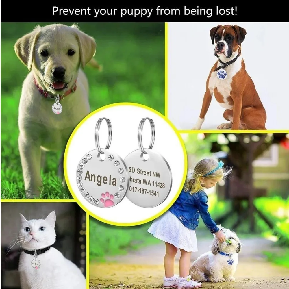 Etiqueta personalizada para perro, Collar de identificación para cachorro y gato, accesorios antipérdida, grabado de acero inoxidable, número de nombre - imagen 3