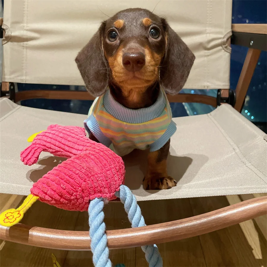 Chaleco para cachorros, ropa de primavera y verano para perros pequeños y medianos, ropa a rayas dulces para perros salchicha, Wiener, tejano, salchicha - imagen 5