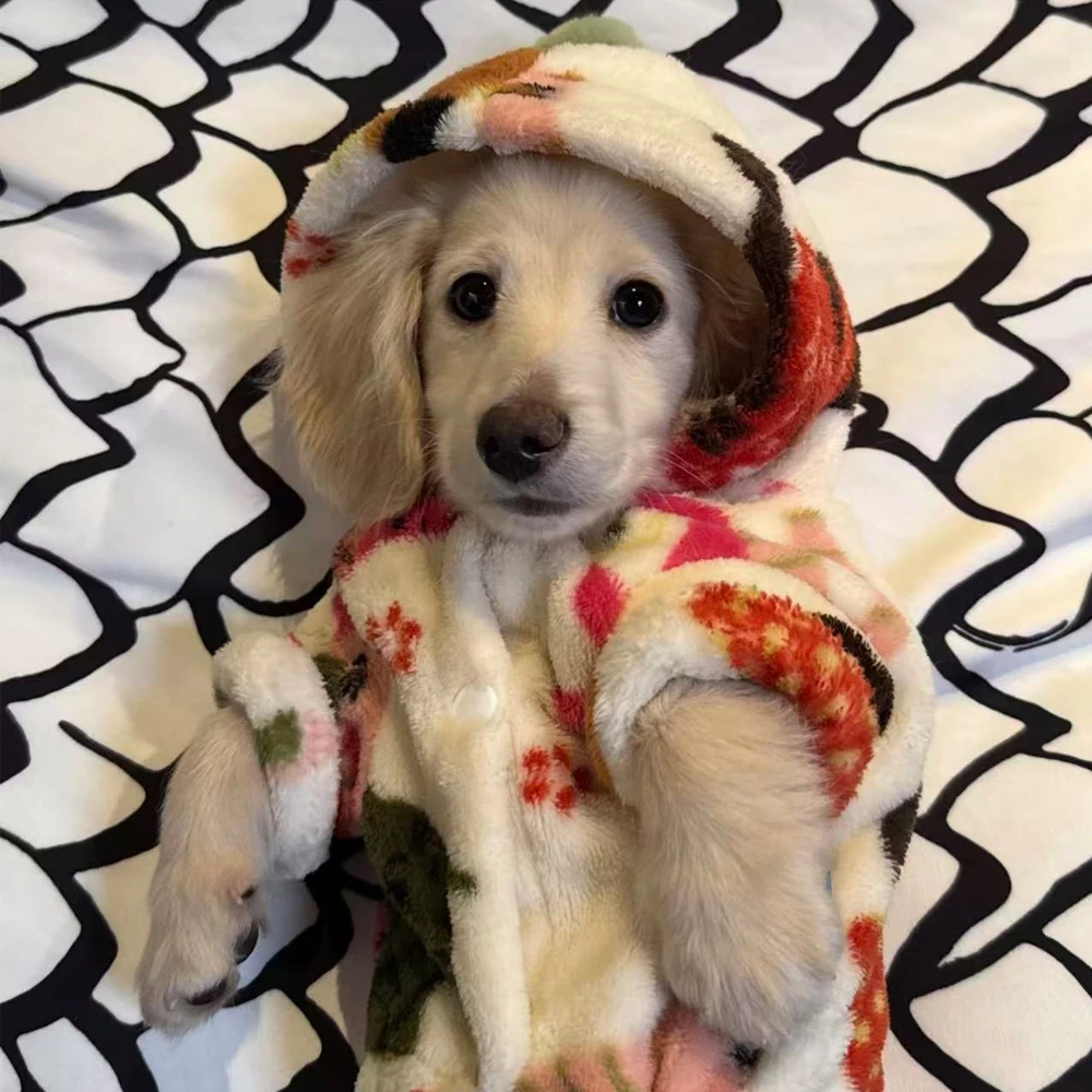 Jersey con capucha para perro Dachshund – Abrigo cálido y suave - imagen 4