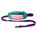 Purple Leash