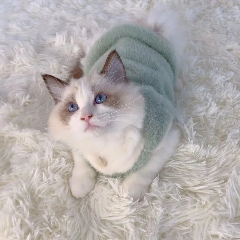 Ropa térmica para gatos pequeños – Abrigo invernal suave - imagen 5