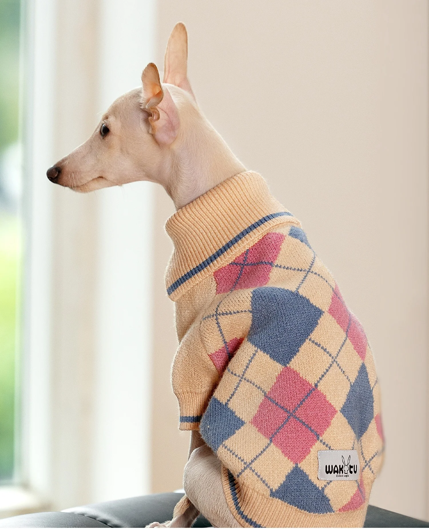 Suéter a cuadros de invierno para perros y mascotas, ropa cálida para caminar al aire libre, jersey de punto para perros, suéter polo para perros de estilo británico - imagen 5