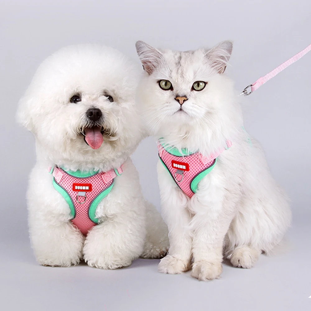 Conjunto de arnés y correa de chaleco para perros y gatos, petos de malla transpirables para perros pequeños, accesorios para mascotas Sphynx, verano