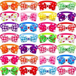 Pack de pajaritas elásticas para perros pequeños - Accesorio de aseo