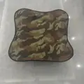 Color camouflage