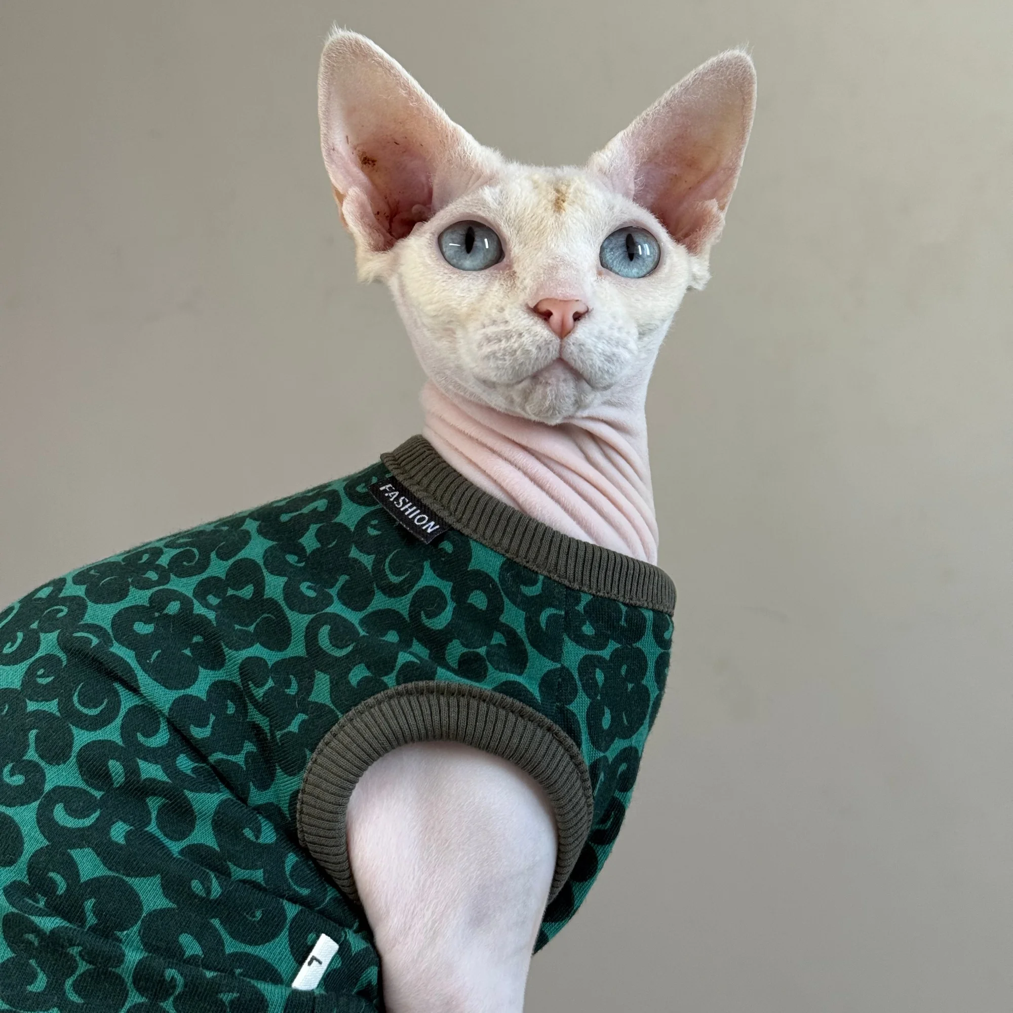 Chaleco verde de algodón para gatos leopardo Devon Rex y Sphynx - imagen 3