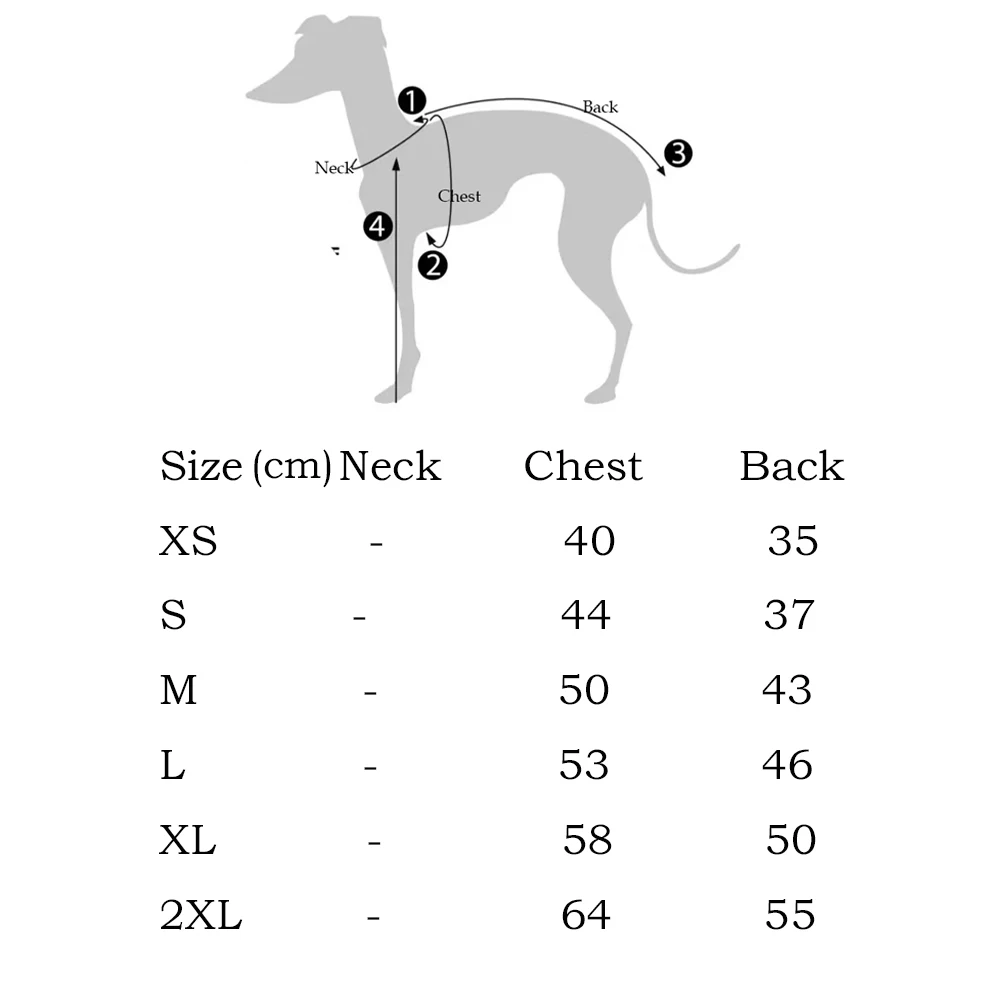 Mono de rayas algodón para Whippet y Galgo Italiano – Ropa primavera - imagen 5