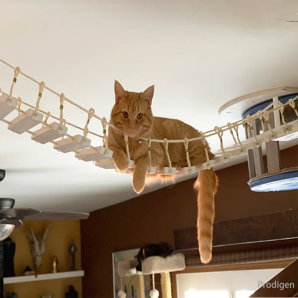 Puente para gatos montado en la pared, escalera de Sisal para gatos múltiples, poste rascador, marco de escalada para gatos, muebles, juguete para gatos, tablero rascador, cama - imagen 2