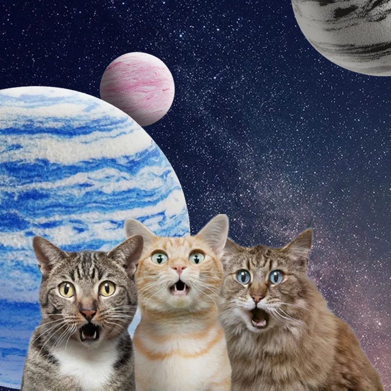 Bola de juguete para gatos EVA Planet Texture Ball Galaxy Cat Self Hi Toy suministros para mascotas Stock de fábrica - imagen 2