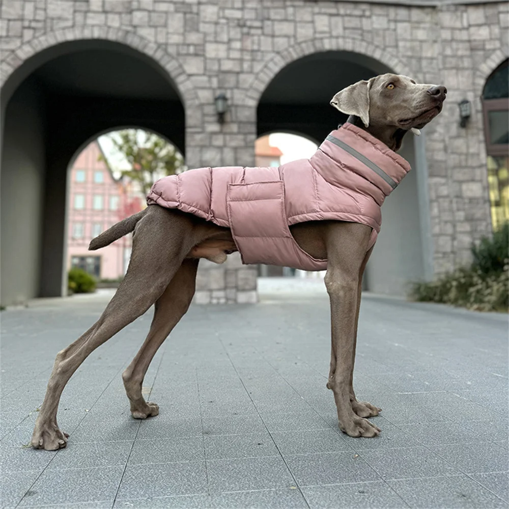 Chaqueta plumón abrigo invierno para perros grandes y medianos