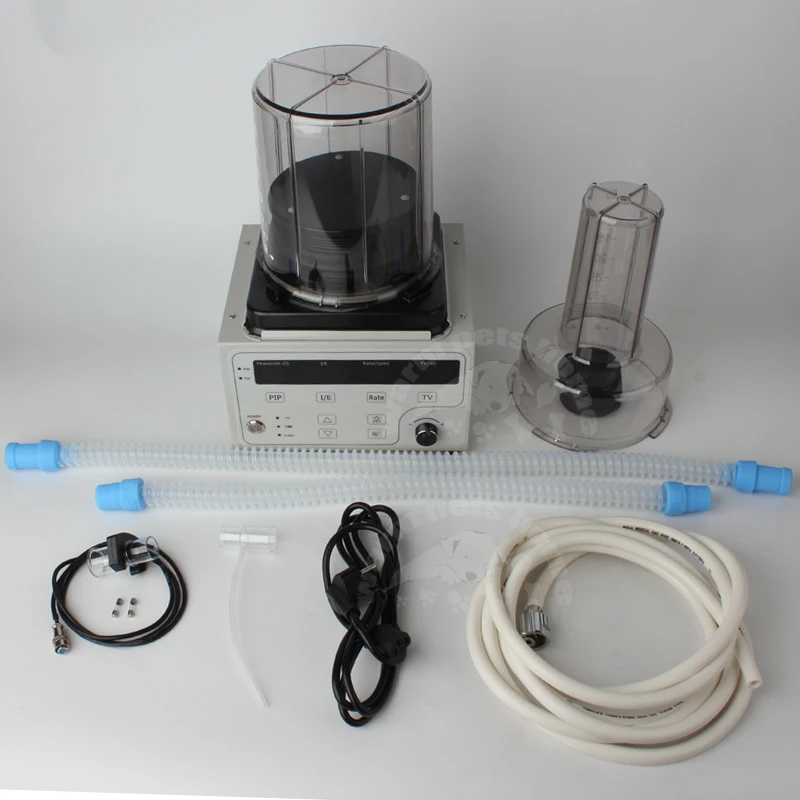 Adult and Pediatrics