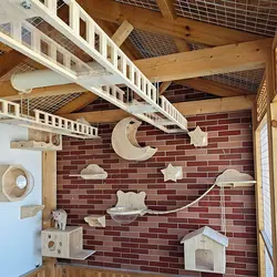 Pared de escalada para gatos con cápsula espacial y pasillo aéreo