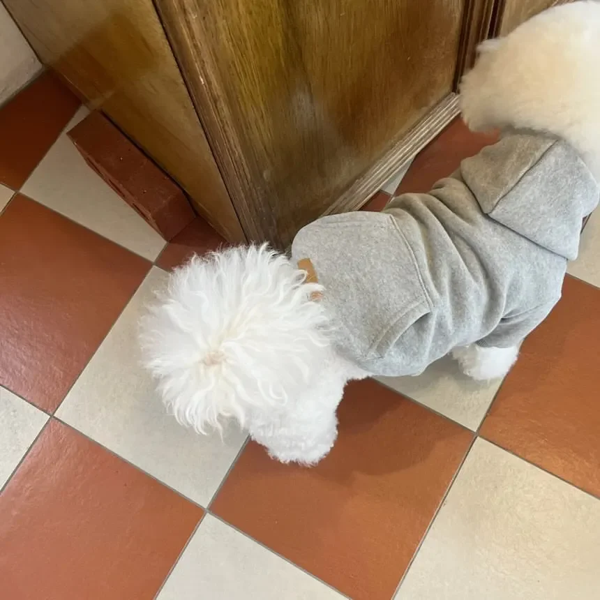 Sudadera con capucha de otoño/invierno, Sudadera con capucha de felpa versátil, abrigo Schnauzer de oso de peluche, ropa para perros pequeños y gatos, cachorros - imagen 5