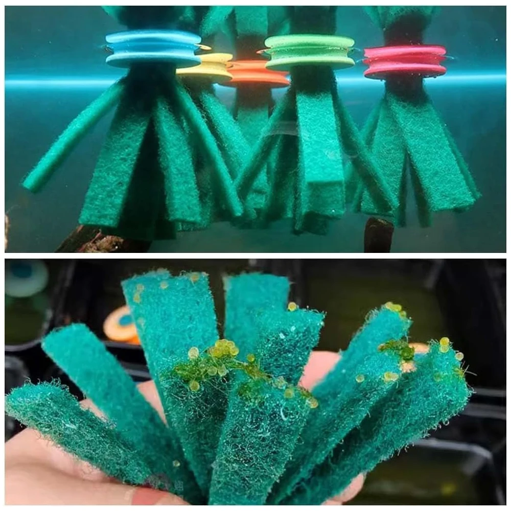 3/5 pcs Spawning Mop Fish Breeding Mop Decorative Fish Spawning Bed for Aquarium Fish Egg Spawning Mop Aquarium Feeding Supplies - imagen 5