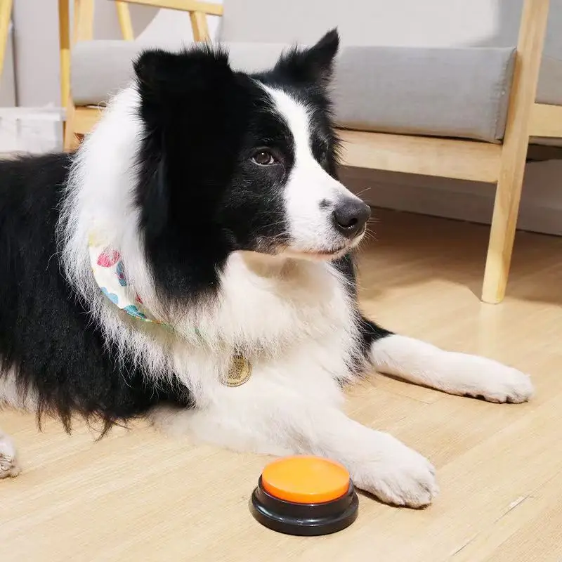 Botones de comunicación para perros, botón de grabación de voz para entrenamiento de mascotas, zumbador, reproducción de registros de 30 segundos, regalo divertido para hablar - imagen 2