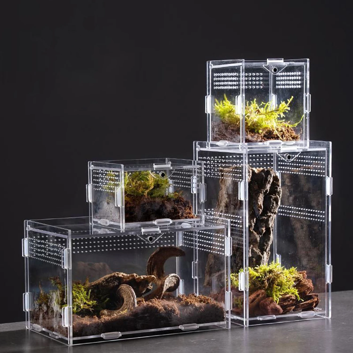 Caja de cría antiescape para reptiles, tanque anfibio transpirable transparente acrílico para tortuga, araña, lagarto, serpiente, Rana, jaula para reptiles - imagen 2