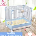809 blue