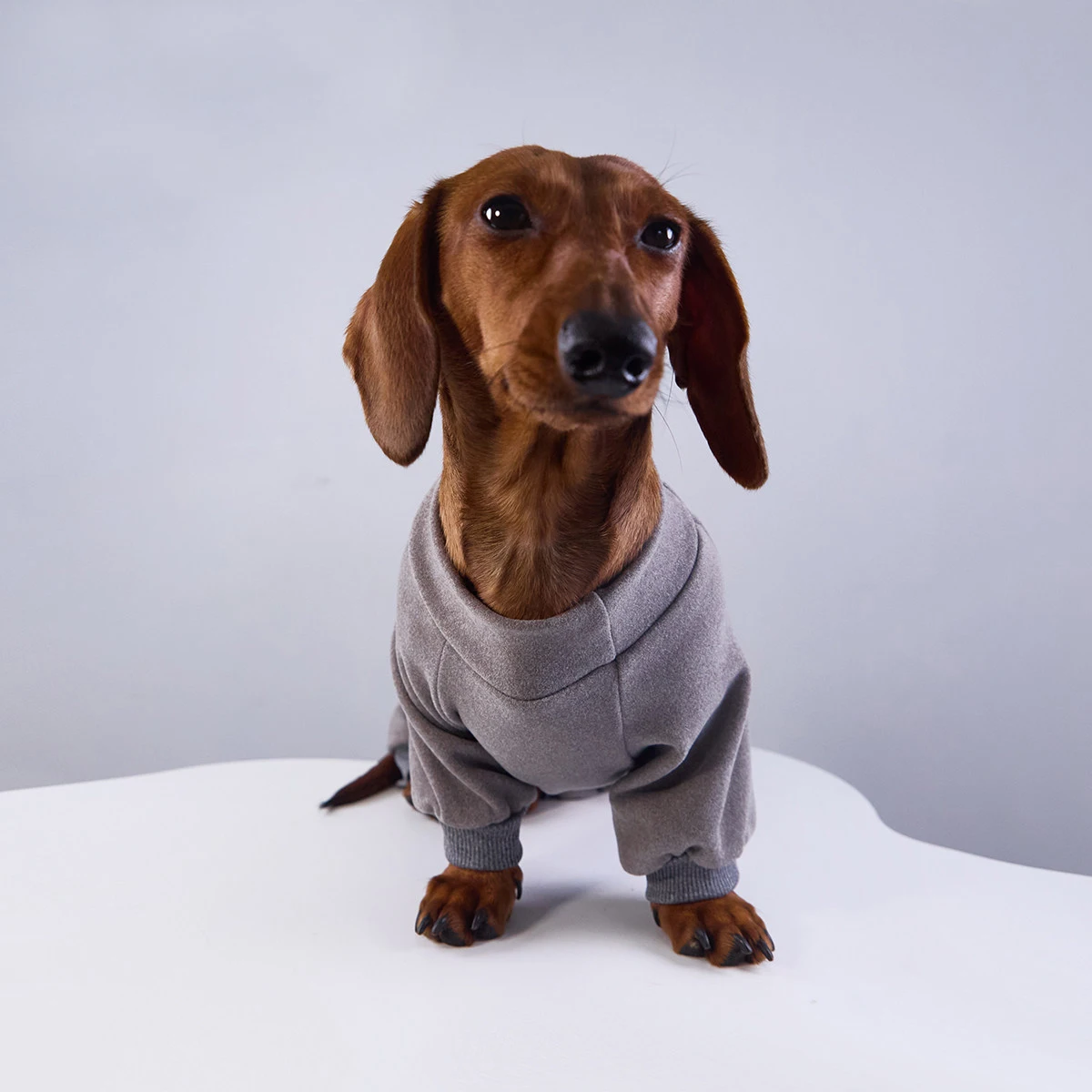 Mono forro polar para perros Salchicha – Cálido y ajustado - imagen 2