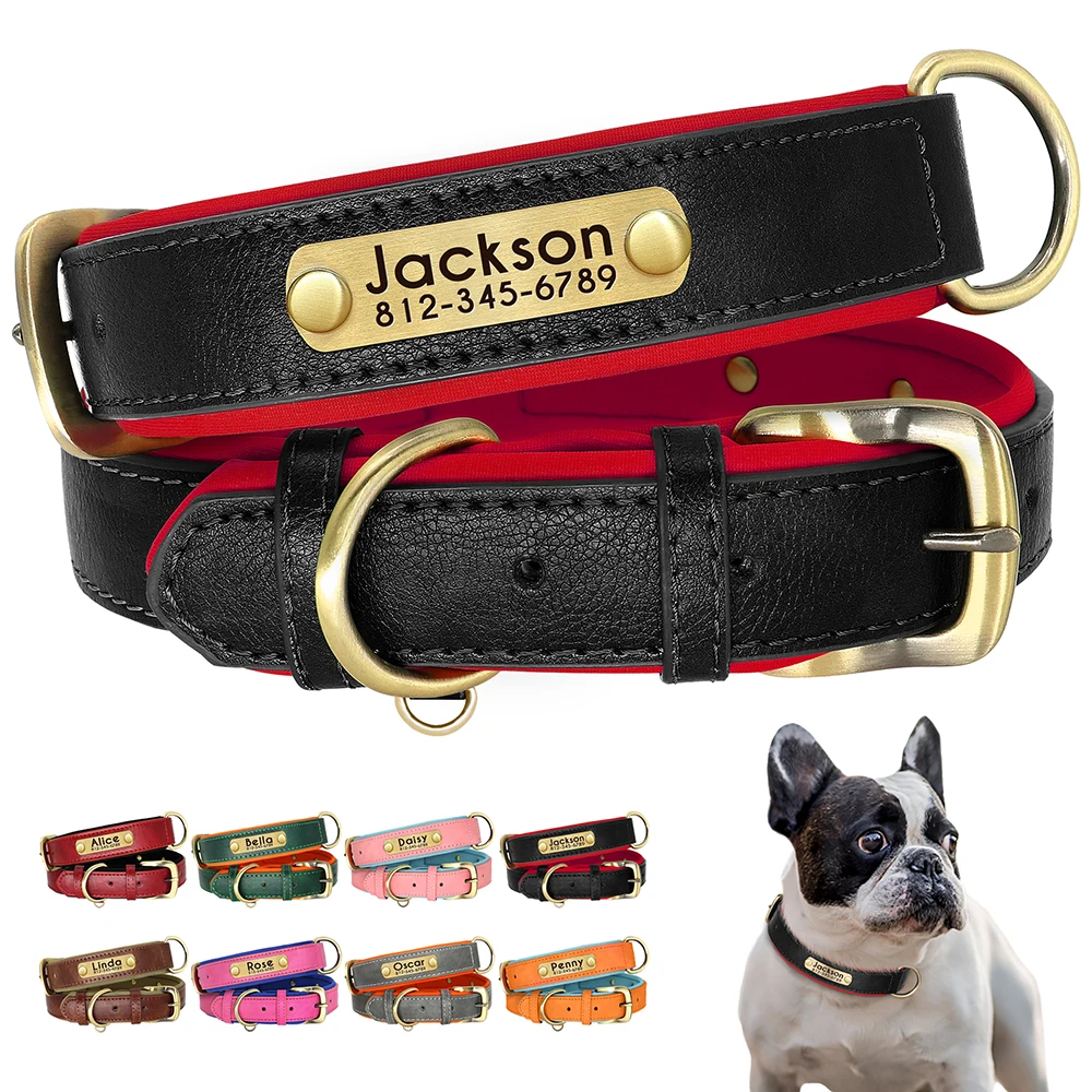 Collar de cuero identificativo para perros Pitbull – Nombre personalizado - imagen 5