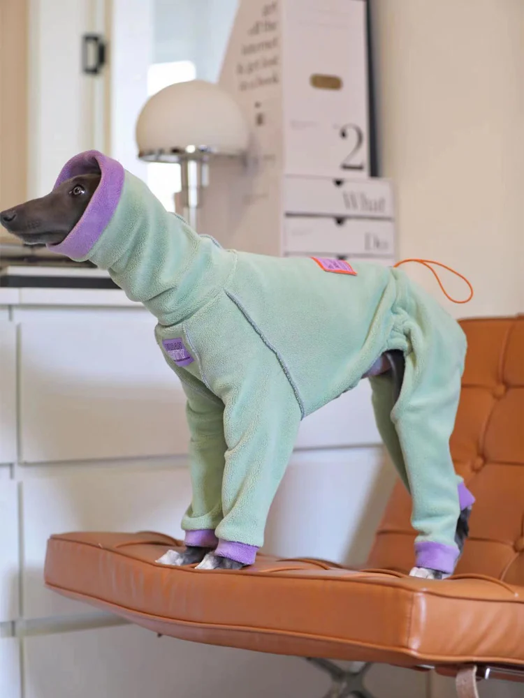 Ropa de galgo italiano a la moda, mono Whippet, ropa para perros, sudadera cálida de cuello alto de lana Whippet - imagen 3
