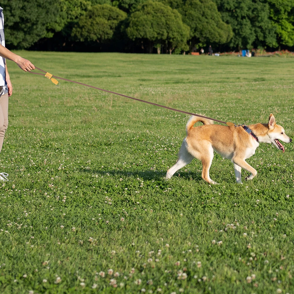 Correa grande para perro de 1,8 M, cadena de cintura, tracción para correr, caminar, ajuste, simplicidad, correas para perro manos libres - imagen 3