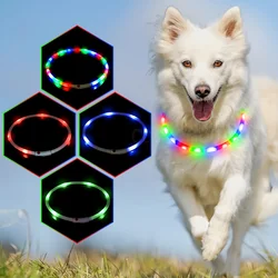 Collar LED luminoso para perros – 4 modos de luz nocturna