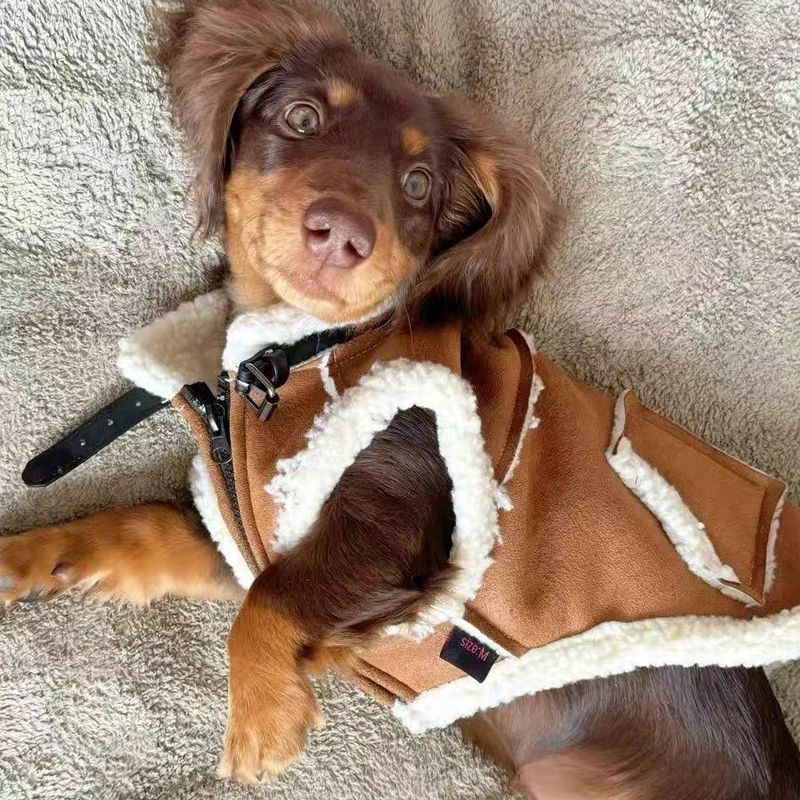 Chaleco de invierno con piel para perros salchicha, chaleco grueso y cálido, ropa para perros salchicha a la moda, abrigo marrón para perros pequeños y medianos - imagen 2